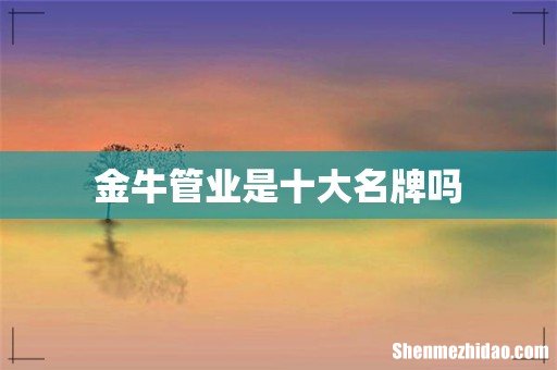 金牛管业是十大名牌吗