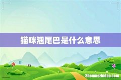 猫咪翘尾巴是什么意思
