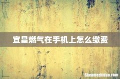 宜昌燃气在手机上怎么缴费