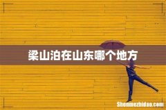 梁山泊在山东哪个地方