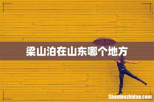 梁山泊在山东哪个地方