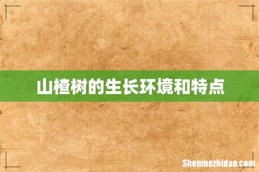 山楂树的生长环境和特点