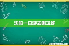 沈阳一日游去哪玩好