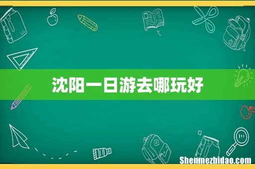 沈阳一日游去哪玩好