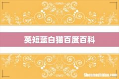 英短蓝白猫百度百科