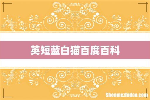 英短蓝白猫百度百科