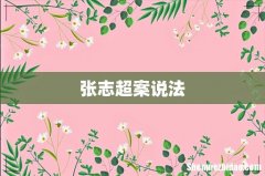 张志超案说法