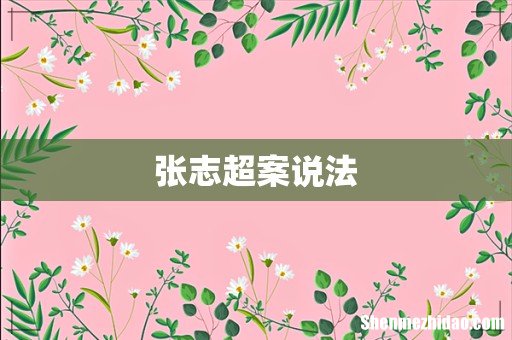 张志超案说法
