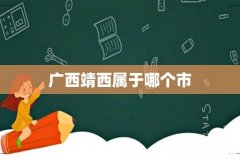 广西靖西属于哪个市