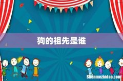 狗的祖先是谁