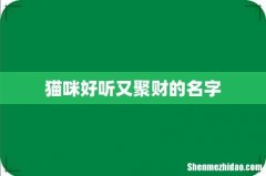 猫咪好听又聚财的名字