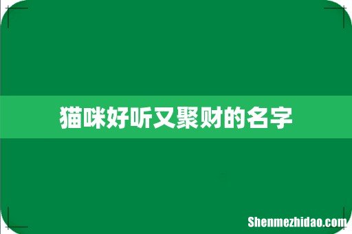 猫咪好听又聚财的名字