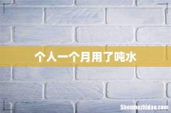 个人一个月用了吨水