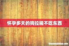 怀孕多天的狗拉稀不吃东西