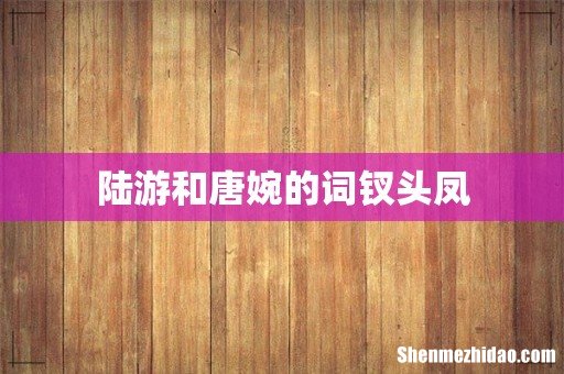 陆游和唐婉的词钗头凤