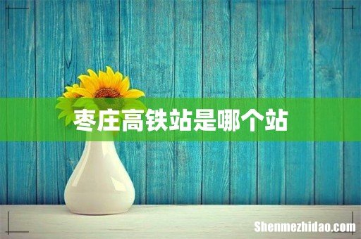 枣庄高铁站是哪个站