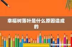 幸福树落叶是什么原因造成的