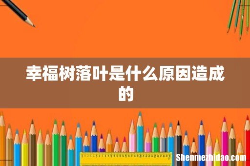 幸福树落叶是什么原因造成的