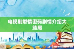 电视剧燃情密码剧情介绍大结局