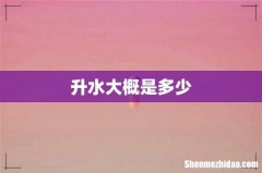 升水大概是多少