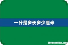一分是多长多少厘米