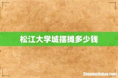 松江大学城摆摊多少钱