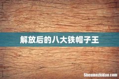 解放后的八大铁帽子王