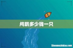 鸬鹚多少钱一只