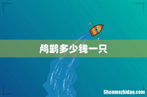 鸬鹚多少钱一只