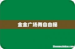金金广场舞自由摇