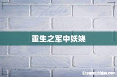 重生之军中妖娆