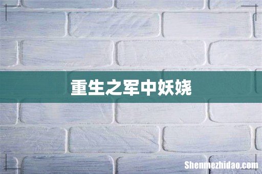 重生之军中妖娆