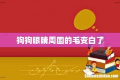 狗狗眼睛周围的毛变白了