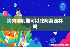 狗狗哺乳期可以吃阿莫西林吗