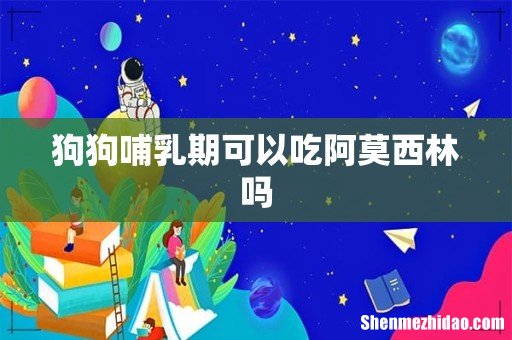 狗狗哺乳期可以吃阿莫西林吗