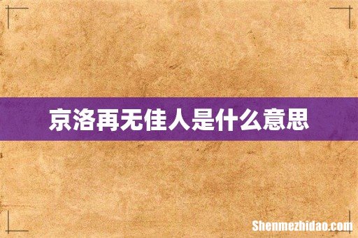 京洛再无佳人是什么意思