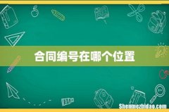 合同编号在哪个位置