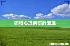 狗狗心理创伤的表现