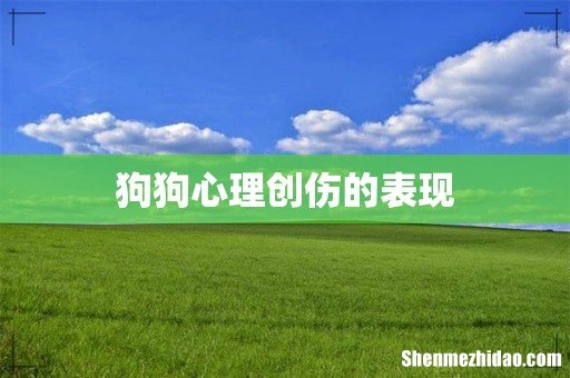 狗狗心理创伤的表现