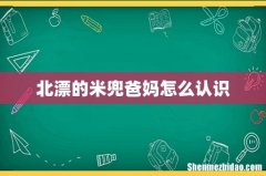北漂的米兜爸妈怎么认识