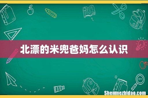 北漂的米兜爸妈怎么认识