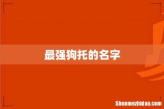 最强狗托的名字