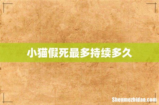 小猫假死最多持续多久