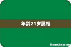 年龄21岁属相