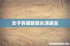 女子养猫眼睛长满螨虫