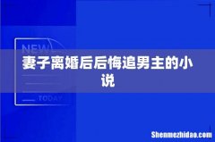 妻子离婚后后悔追男主的小说