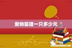 宠物狐狸一只多少元