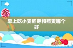 早上吃小麦胚芽和燕麦哪个好