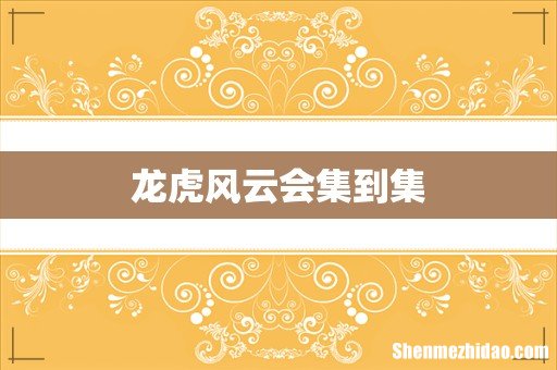 龙虎风云会集到集