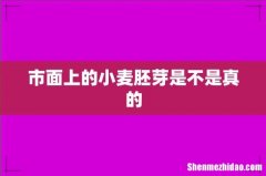 市面上的小麦胚芽是不是真的